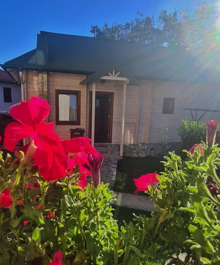 Rooms And Apartmants Mirovic Kolašin Exteriér fotografie